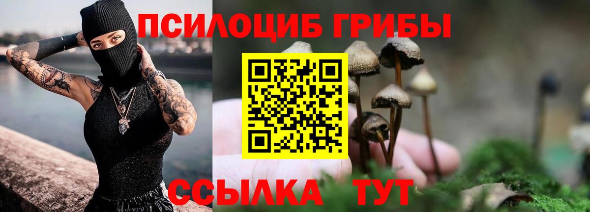 Псилоцибиновые грибы GOLDEN TEACHER  Вход с VPN  Тобольск 